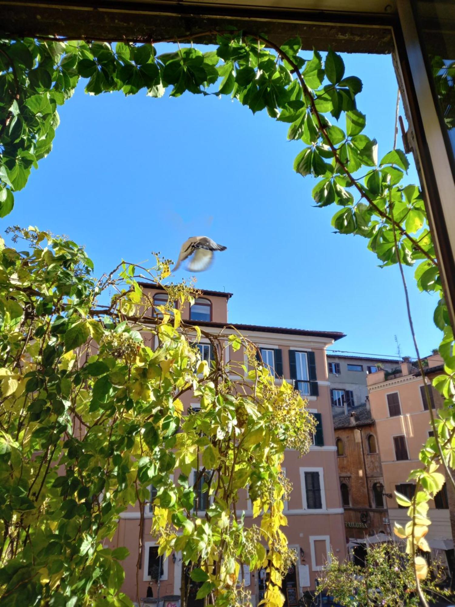 Central Apartment In Trastevere Roma Camera foto